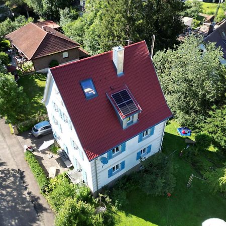 Zwergdackeladlerhirsch Daire Beuron Dış mekan fotoğraf