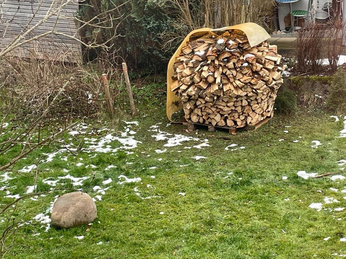 Zwergdackeladlerhirsch Daire Beuron Dış mekan fotoğraf