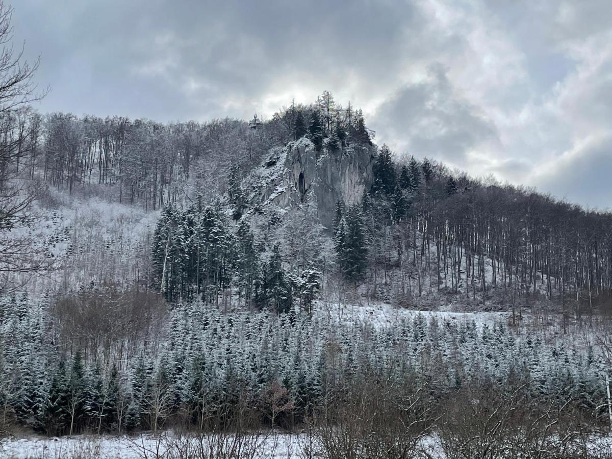 Zwergdackeladlerhirsch Daire Beuron Dış mekan fotoğraf
