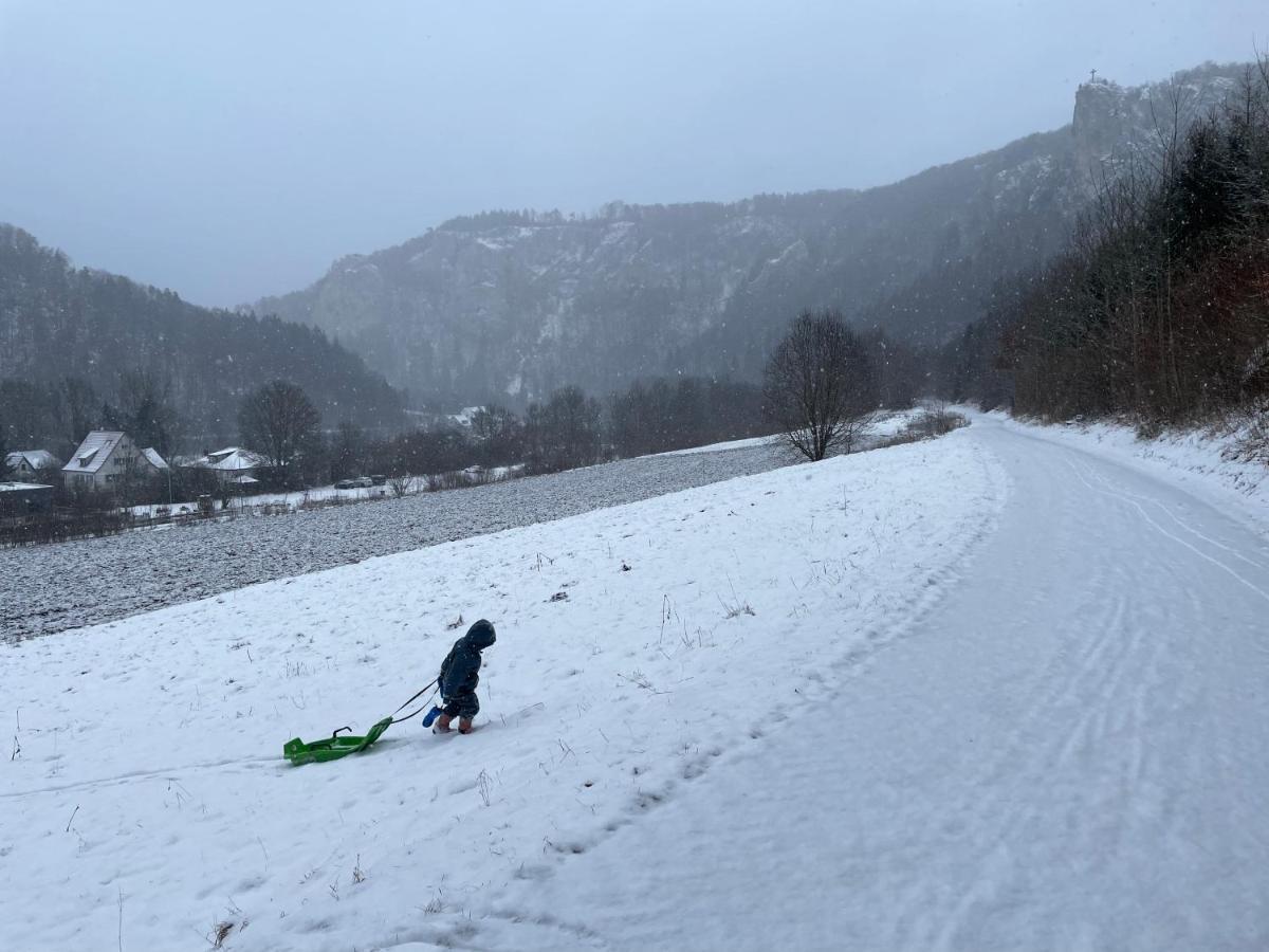 Zwergdackeladlerhirsch Daire Beuron Dış mekan fotoğraf