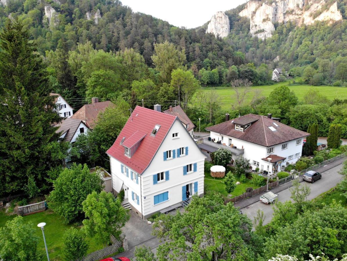 Zwergdackeladlerhirsch Daire Beuron Dış mekan fotoğraf