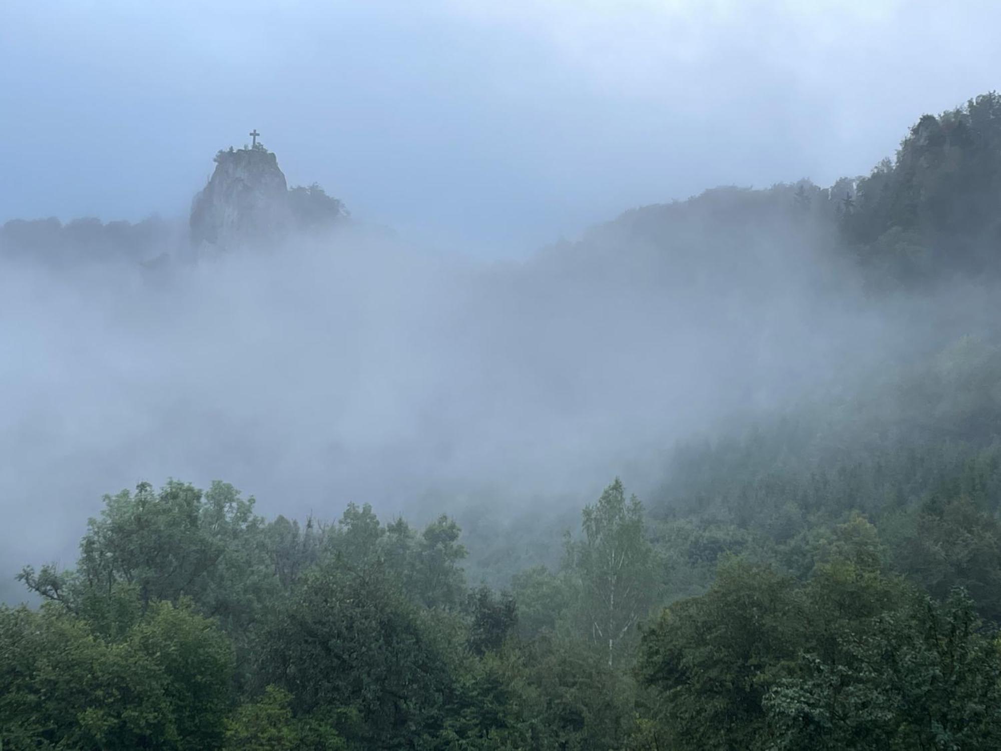 Zwergdackeladlerhirsch Daire Beuron Dış mekan fotoğraf