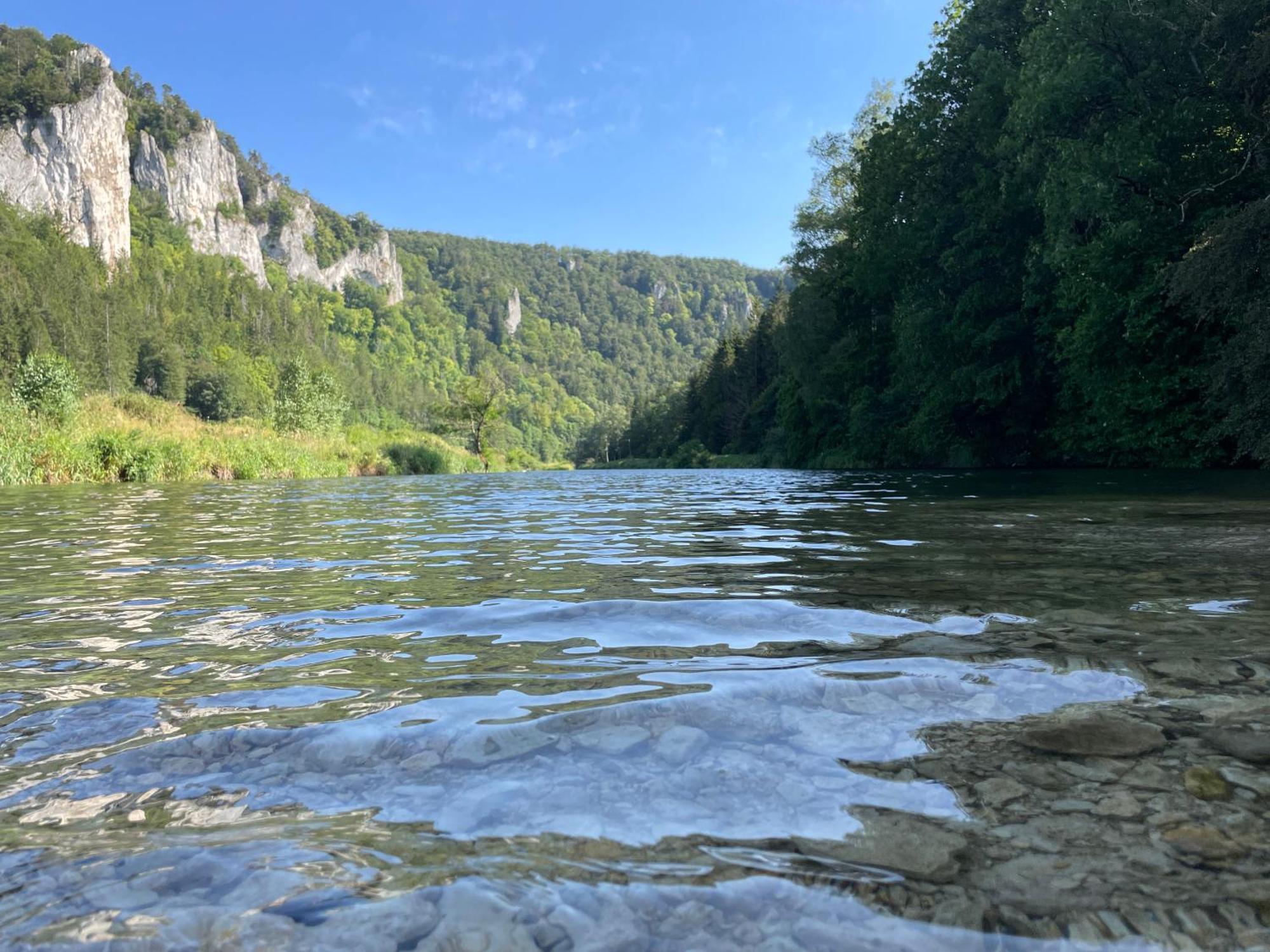 Zwergdackeladlerhirsch Daire Beuron Dış mekan fotoğraf