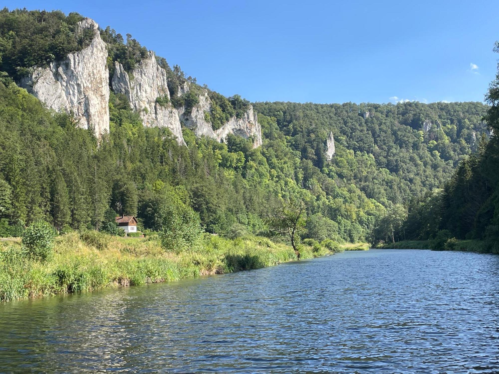 Zwergdackeladlerhirsch Daire Beuron Dış mekan fotoğraf